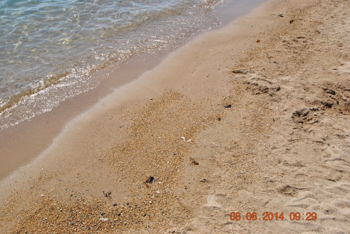 imagini hotel VENOSA DIDIM